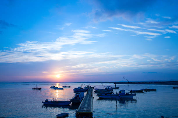 안전하고 합리적인 이용을 위한 기준 정리
