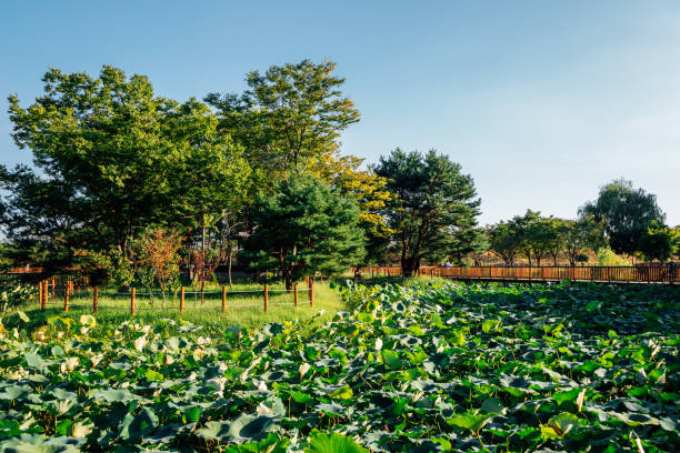 평택오피 정보를 찾을 때 사람들이 먼저 보는 흐름