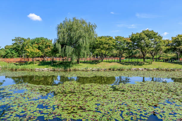 평택오피는 왜 메뉴를 나눠서 운영하는가