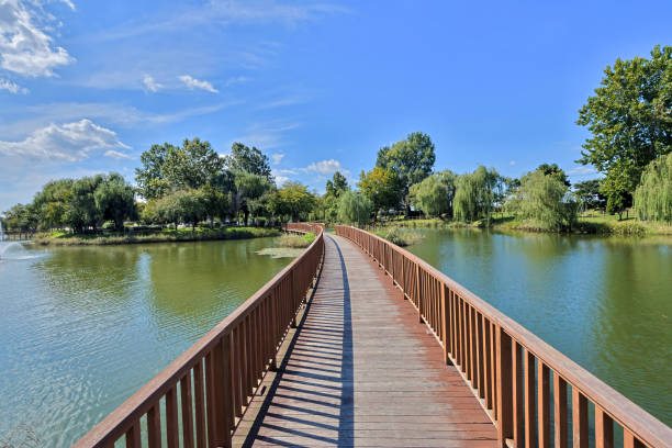접속 환경 안내와 문의 연결 흐름을 한 번에 정리합니다